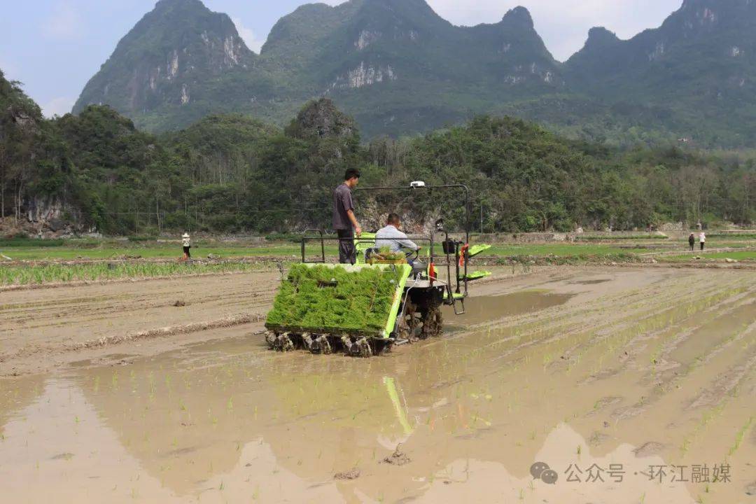 這機器太頂用了<strong></p>
<p>插秧機
</strong>！環(huán)江種糧大戶點贊無人駕駛插秧機:插秧機
