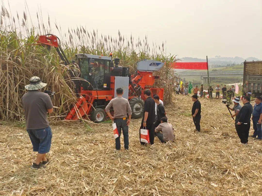 對(duì)標(biāo)國(guó)外先進(jìn)農(nóng)機(jī)品牌<strong></p>
<p>插秧機(jī)
</strong>，履拖、收獲機(jī)、插秧機(jī)等機(jī)具將迎來(lái)深度研發(fā)！:插秧機(jī)
