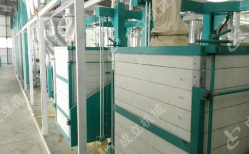 吉林玉米渣子磨面機，日產20噸玉米飼料加工設備廠家:玉米收獲機