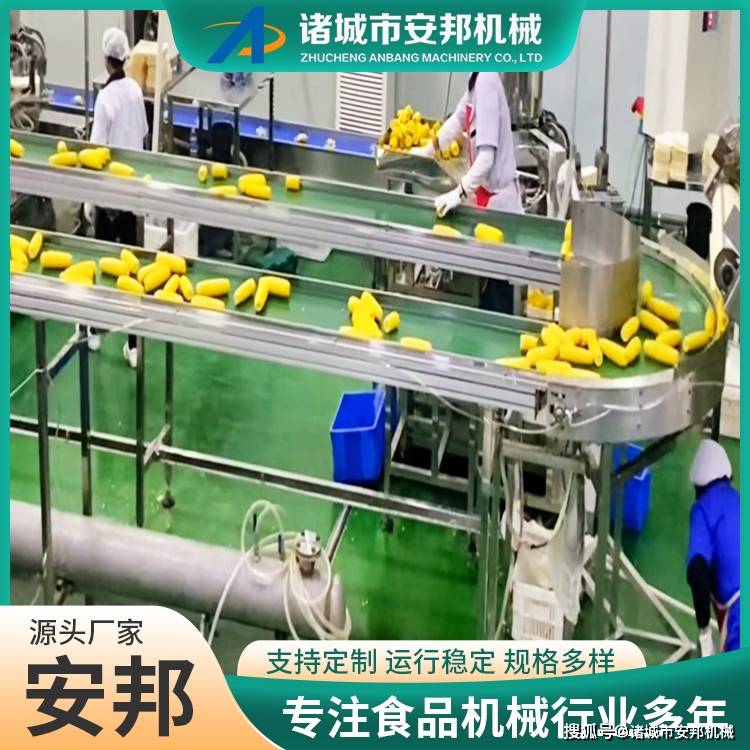 自動化鮮食玉米蒸煮機:玉米收獲機